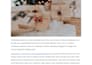 write content optimized for google, chatgpt and gemini